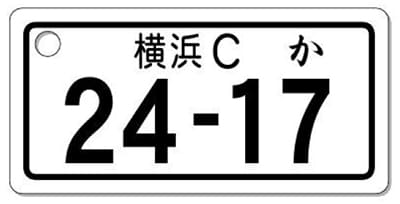 ナンバープレートキーホルダー 表面 自動二輪用 バランス見本 251cc以上