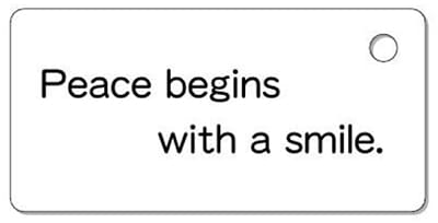 ナンバープレートキーホルダー 裏面 乗用車用 バランス見本 メッセージ