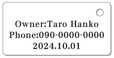ナンバープレートキーホルダー 裏面 乗用車用 バランス見本 所有者