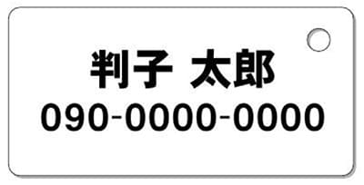 ナンバープレートキーホルダー 裏面 乗用車用 バランス見本 所有者