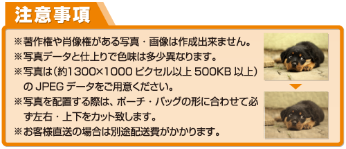 ポーチの注意事項