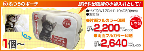 ふつうのポーチ