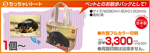 ちっちゃいトート